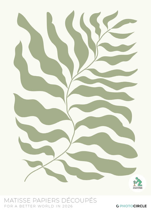 2026 Matisse Pastel Papiers Découpés Art Calendar