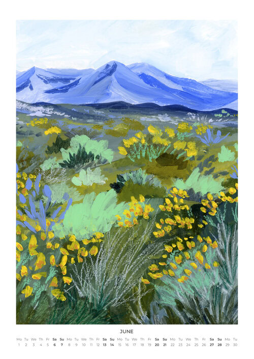 2026 Vibrant Landscapes Design Calendar
