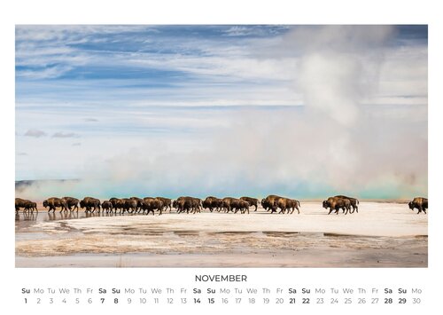 2026 For A Better World Photo Calendar