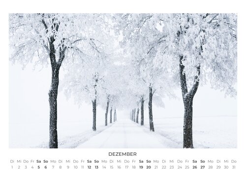 2026 Forest and Trees Calendar