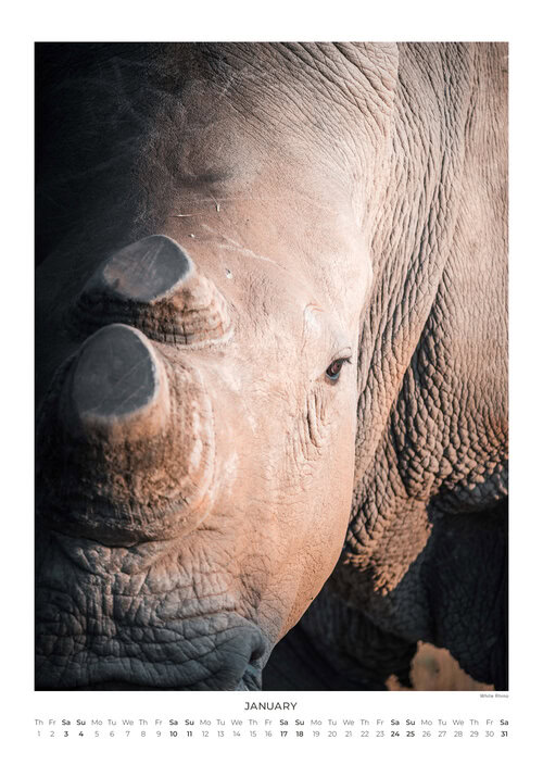2026 South Africa's Wild Life Calendar