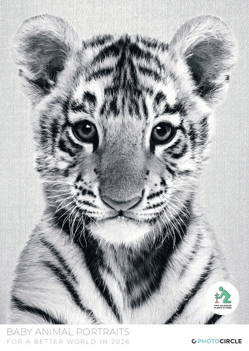 2026 Baby Animal Portraits Calendar