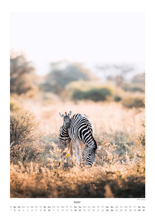 2026 South Africa's Wild Life Calendar