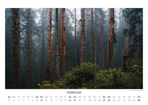Deutschlands Wilde Wälder Calendar 2026