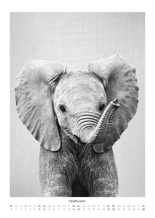 2026 Baby Animal Portraits Calendar