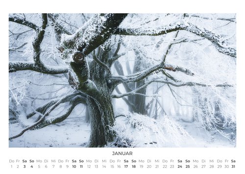 2026 Forest and Trees Calendar