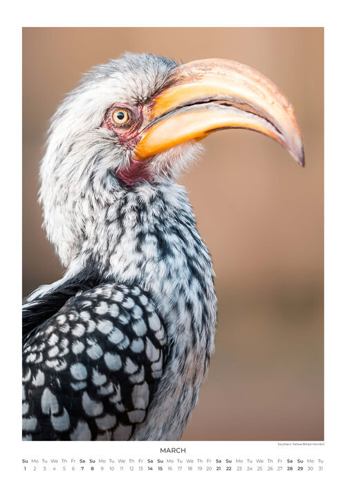 2026 South Africa's Wild Life Calendar