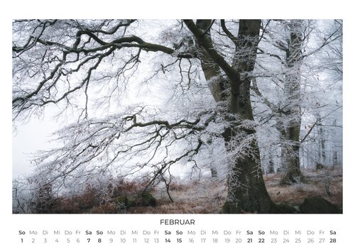 2026 Forest and Trees Calendar