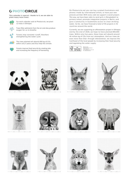 Tierportraits Kalender 2026