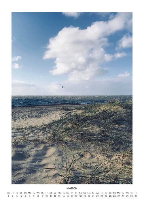 Wood Anthems & Coastal Stories From The Northsea