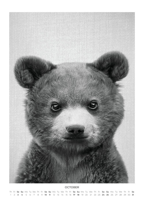 2026 Baby Animal Portraits Calendar