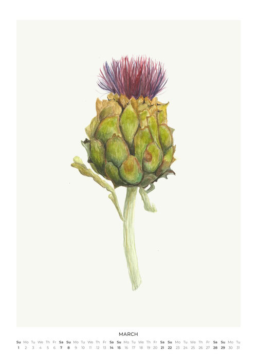 2026 Botanical Bloom Calendar