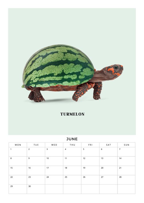 2026 Foodimals Squares Planner & Calendar