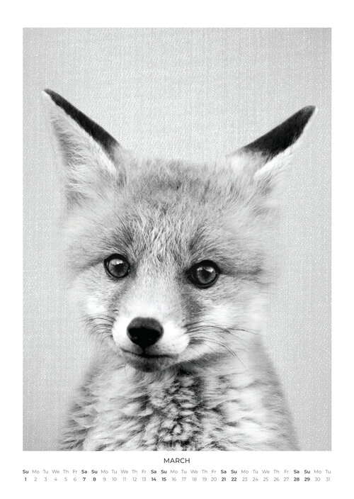 2026 Baby Animal Portraits Calendar