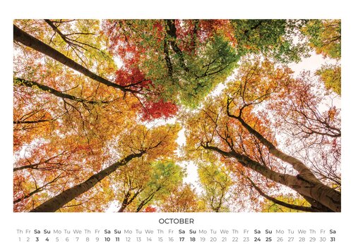 2026 For A Better World Photo Calendar