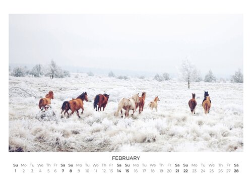 2026 For A Better World Photo Calendar