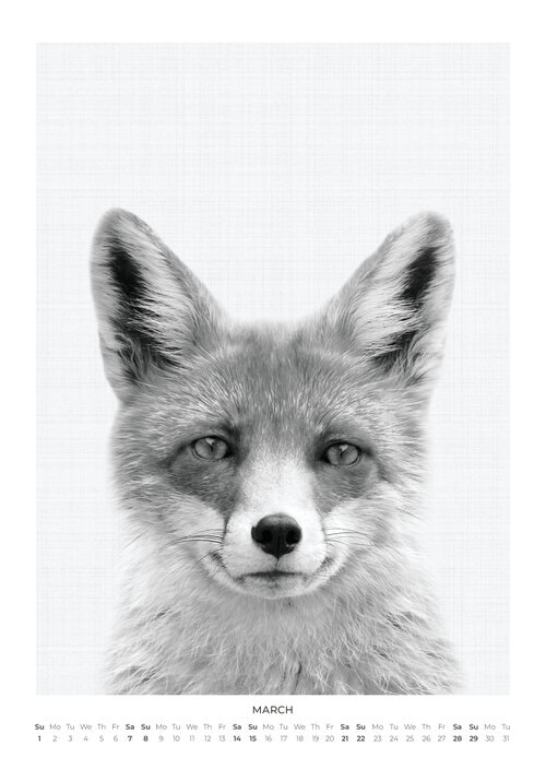 Tierportraits Kalender 2026