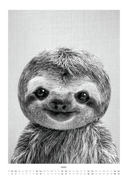 2026 Baby Animal Portraits Calendar