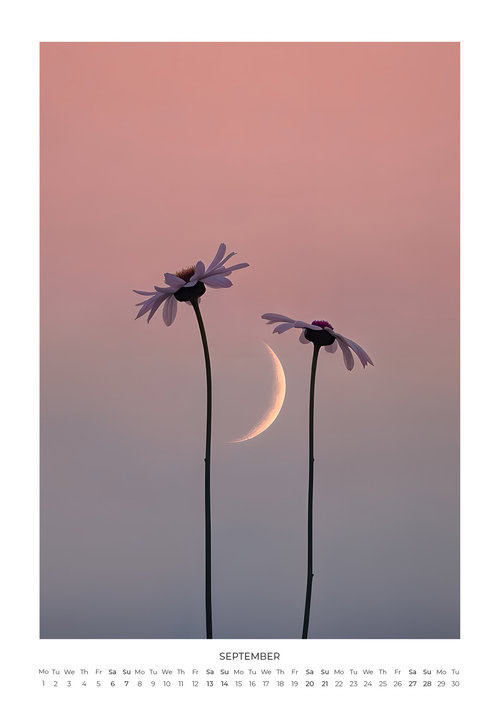 Sky Garden Calendar 2025