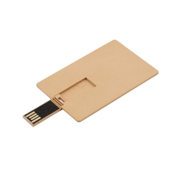 USB ključ kartica eko