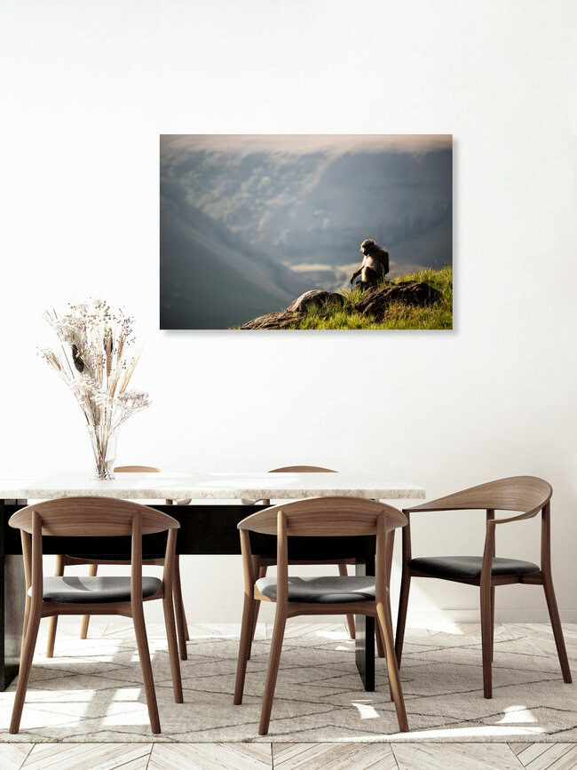 Monkey Pause, Sudáfrica: arte mural de Steffen Rothammel en formato póster o impresión sobre vidrio acrílico.