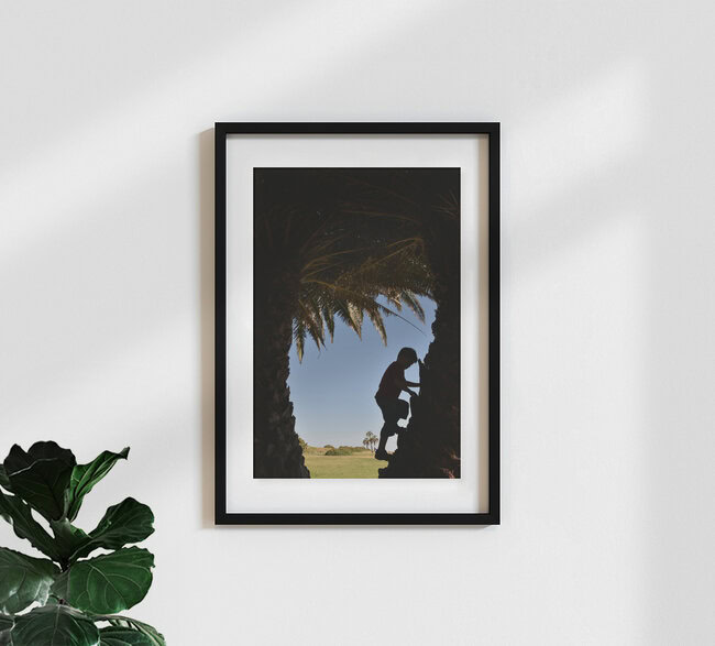 Trepando una palmera, Argentina – Arte mural de Thomas Heinze como póster o impresión sobre vidrio acrílico