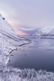 Pasteles invernales, Senja, Norte de Noruega, Noruega: arte mural de Eva Stadler en formato póster o impresión sobre vidrio acrílico.