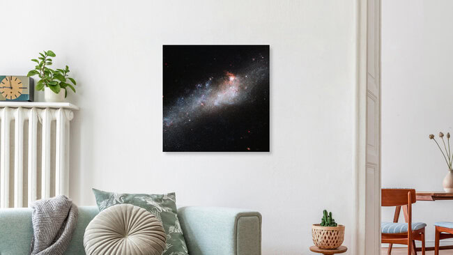 Galaxie NGC 4656 – La galaxie du bâton de hockey, Allemagne – Art mural de Nasa Visions, affiche ou impression sur verre acrylique