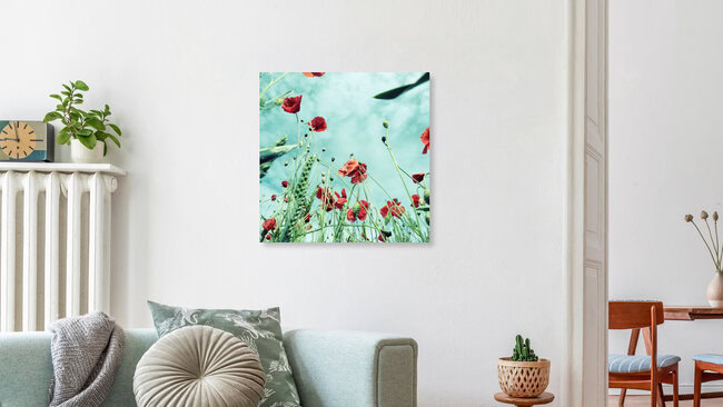 Coquelicot, Allemagne – œuvre d'art murale de Kay Block, en affiche ou en verre acrylique