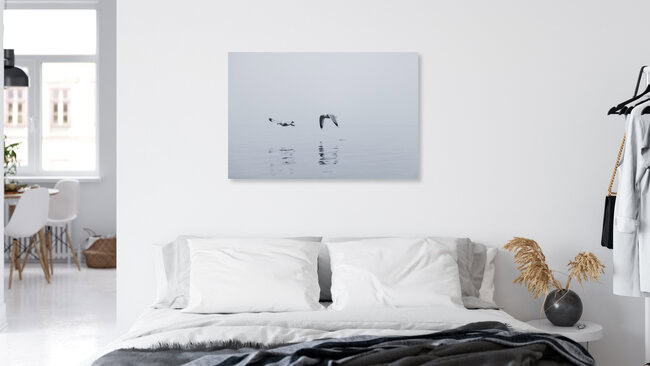 Deux mouettes dans le brouillard au-dessus de la mer Baltique, Allemagne – œuvre d'art de Nadja Jacke, affiche ou impression sur verre acrylique