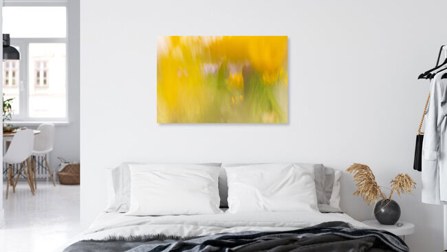 Crocus caché, Allemagne – œuvre d'art de Nadja Jacke, affiche ou impression sur verre acrylique