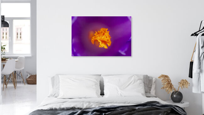 Stigmate doré – Macro d'un crocus, Allemagne – œuvre d'art de Nadja Jacke, affiche ou impression sur verre acrylique