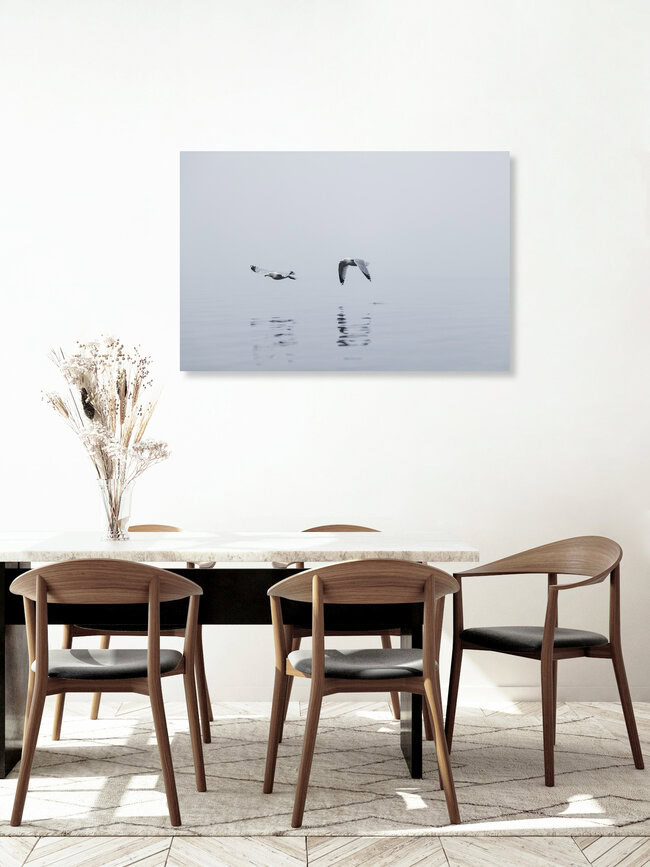 Deux mouettes dans le brouillard au-dessus de la mer Baltique, Allemagne – œuvre d'art de Nadja Jacke, affiche ou impression sur verre acrylique