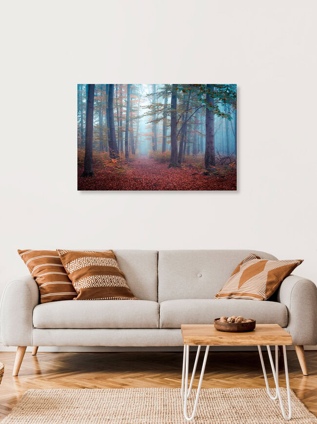 Promenade en forêt, Allemagne – Art mural de Martin Wasilewski, affiche ou impression sur verre acrylique