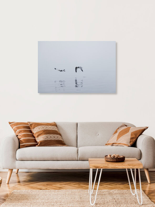 Deux mouettes dans le brouillard au-dessus de la mer Baltique, Allemagne – œuvre d'art de Nadja Jacke, affiche ou impression sur verre acrylique