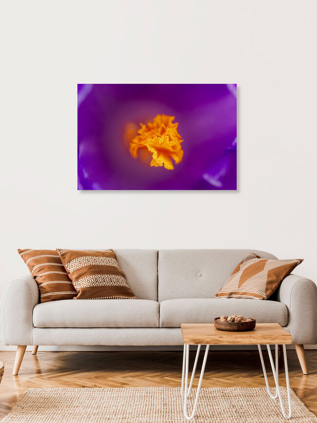 Stigmate doré – Macro d'un crocus, Allemagne – œuvre d'art de Nadja Jacke, affiche ou impression sur verre acrylique