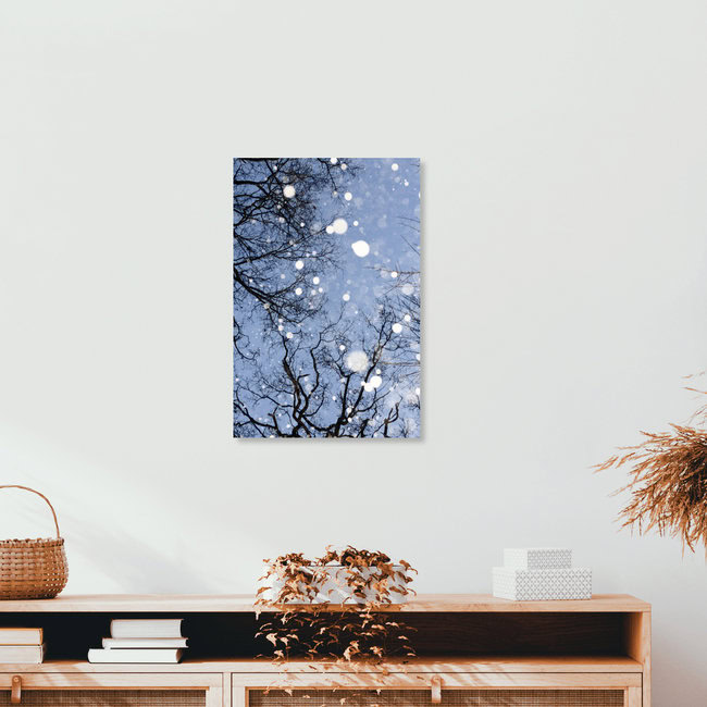 Cime degli alberi in inverno, Germania – opera d'arte di Anke Dörschlen come poster o stampa su vetro acrilico
