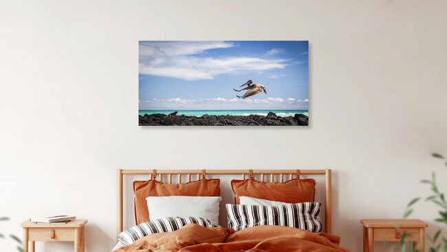 PELICAN AIRWAYS, Ecuador – opera d'arte di Andreas Adams come poster o stampa su vetro acrilico