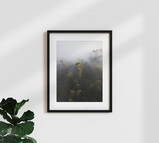 Tasmania nebbiosa, Australia – opera d'arte di Frida Berg disponibile come poster o stampa su vetro acrilico