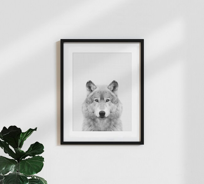 Lupo (bianco e nero), Regno Unito – opera d'arte di Vivid Atelier disponibile come poster o stampa su vetro acrilico