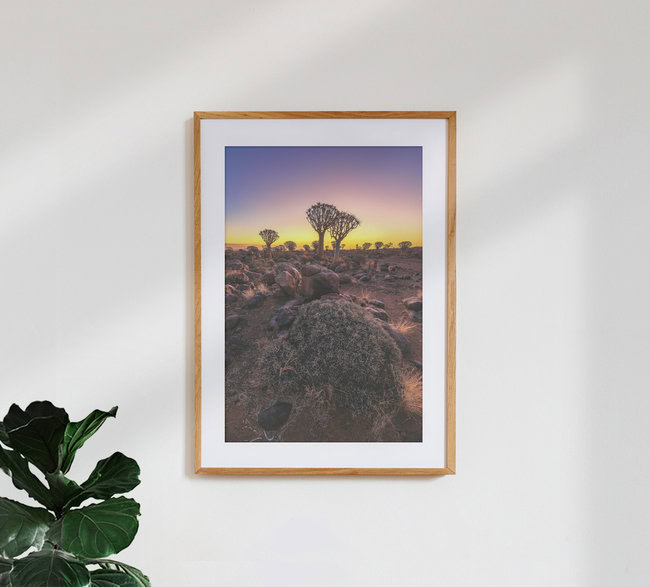 Foresta dell'albero faretra della Namibia Goldene Stunde, Namibia – opera d'arte di Jean Claude Castor come poster o stampa su vetro acrilico