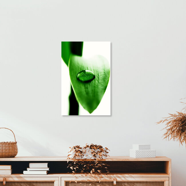 Wassertropfen auf Bambus, Duitsland – muurkunst van Falko Follert als poster of acrylglasafdruk