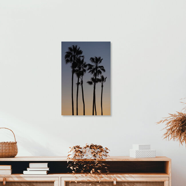 Beach Palms, Verenigde Staten – wandkunst van AJ Schokora als poster of acrylglasprint