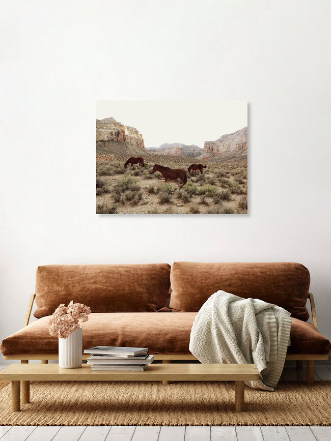 Zuidwestelijke wilde paarden, Bermuda – wandkunst van Kevin Russ als poster of acrylglasprint