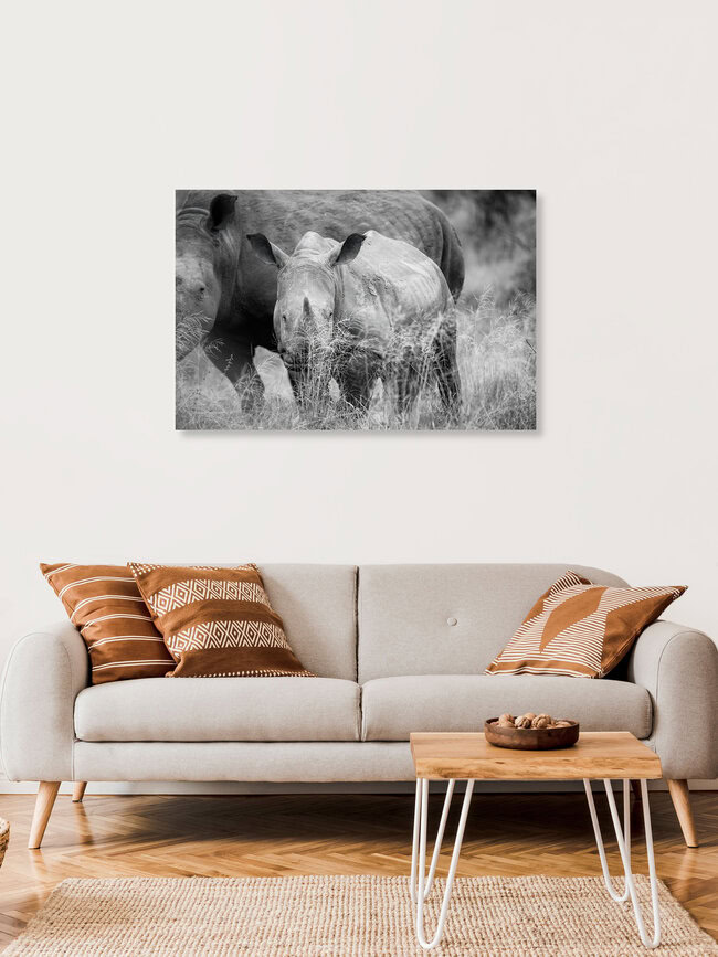 Portret van een neushoornbaby, Zuid-Afrika – wanddecoratie van Dennis Wehrmann als poster of acrylglasprint