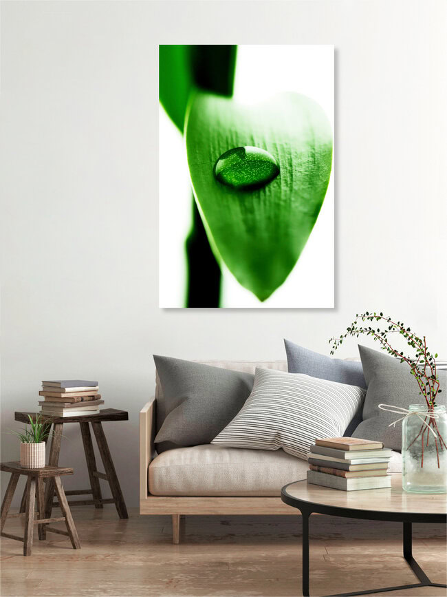 Wassertropfen auf Bambus, Duitsland – muurkunst van Falko Follert als poster of acrylglasafdruk
