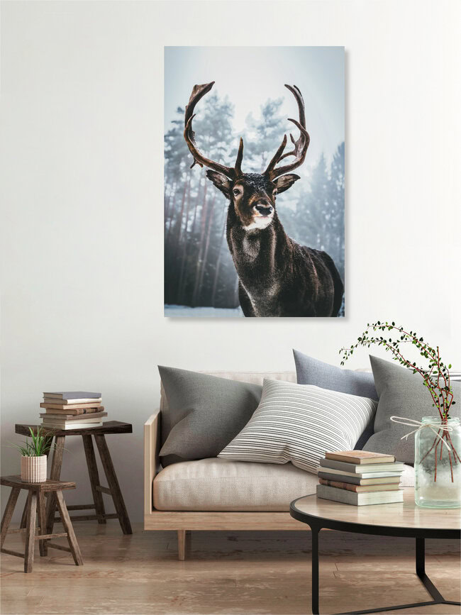 King Of The Woods, Duitsland – wandkunst van Patrick Monatsberger als poster of acrylglasprint