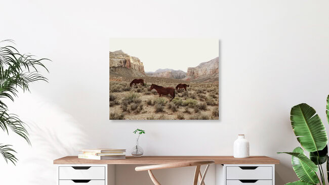 Zuidwestelijke wilde paarden, Bermuda – wandkunst van Kevin Russ als poster of acrylglasprint