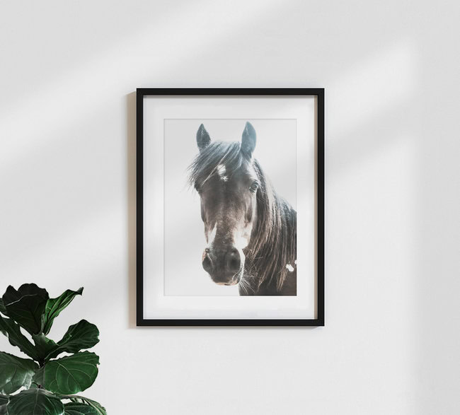 Paard, Verenigd Koninkrijk – wandkunst van Victoria Frost als poster of acrylglasprint