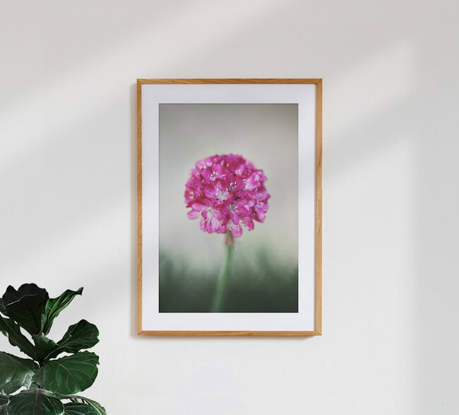 Mooi in roze, Duitsland – wandkunst van Manuela Deigert als poster of acrylglasprint